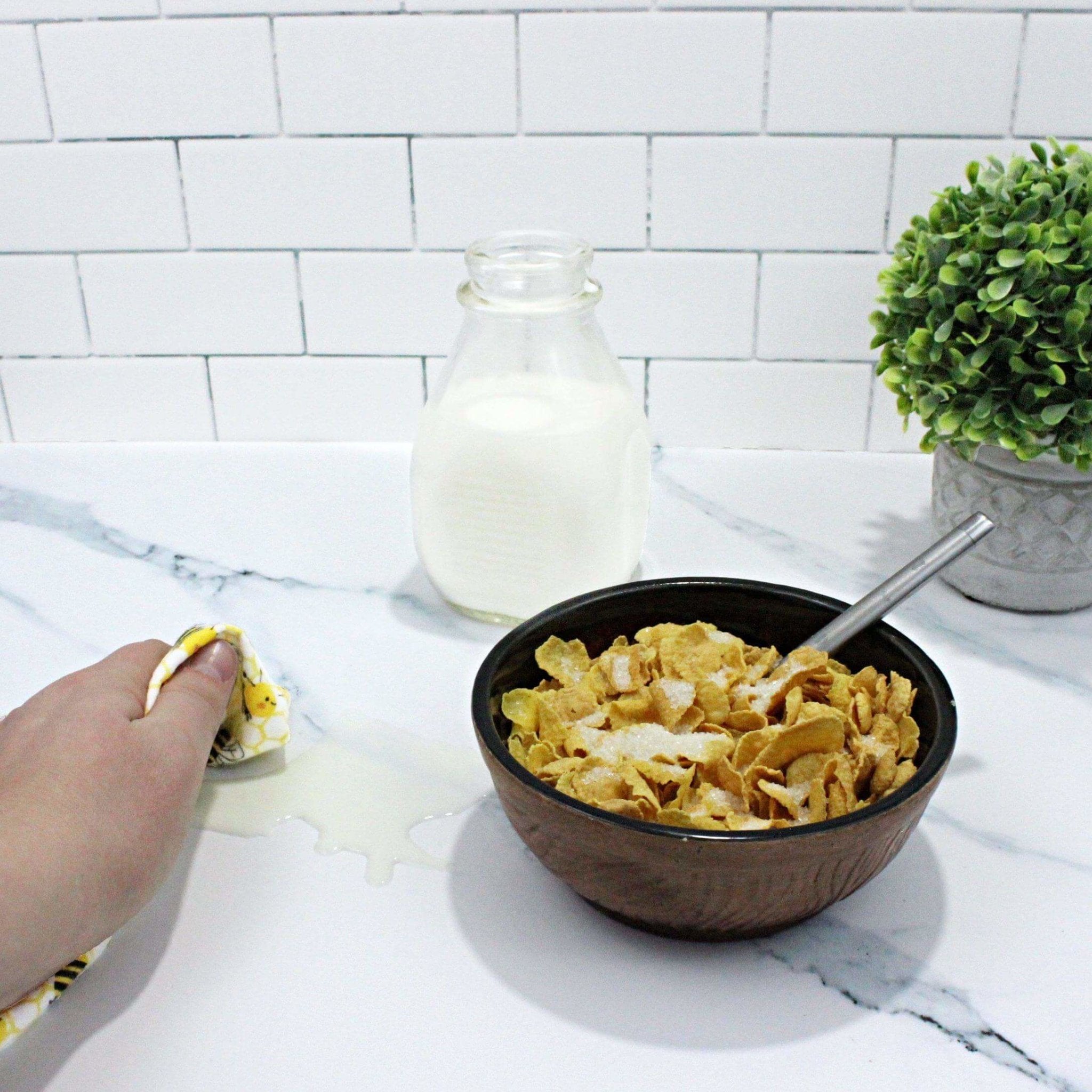 Animal Washable Paper(less) Towels Pre-Rolled, Set of 20 - Stella & Sol Sustainables