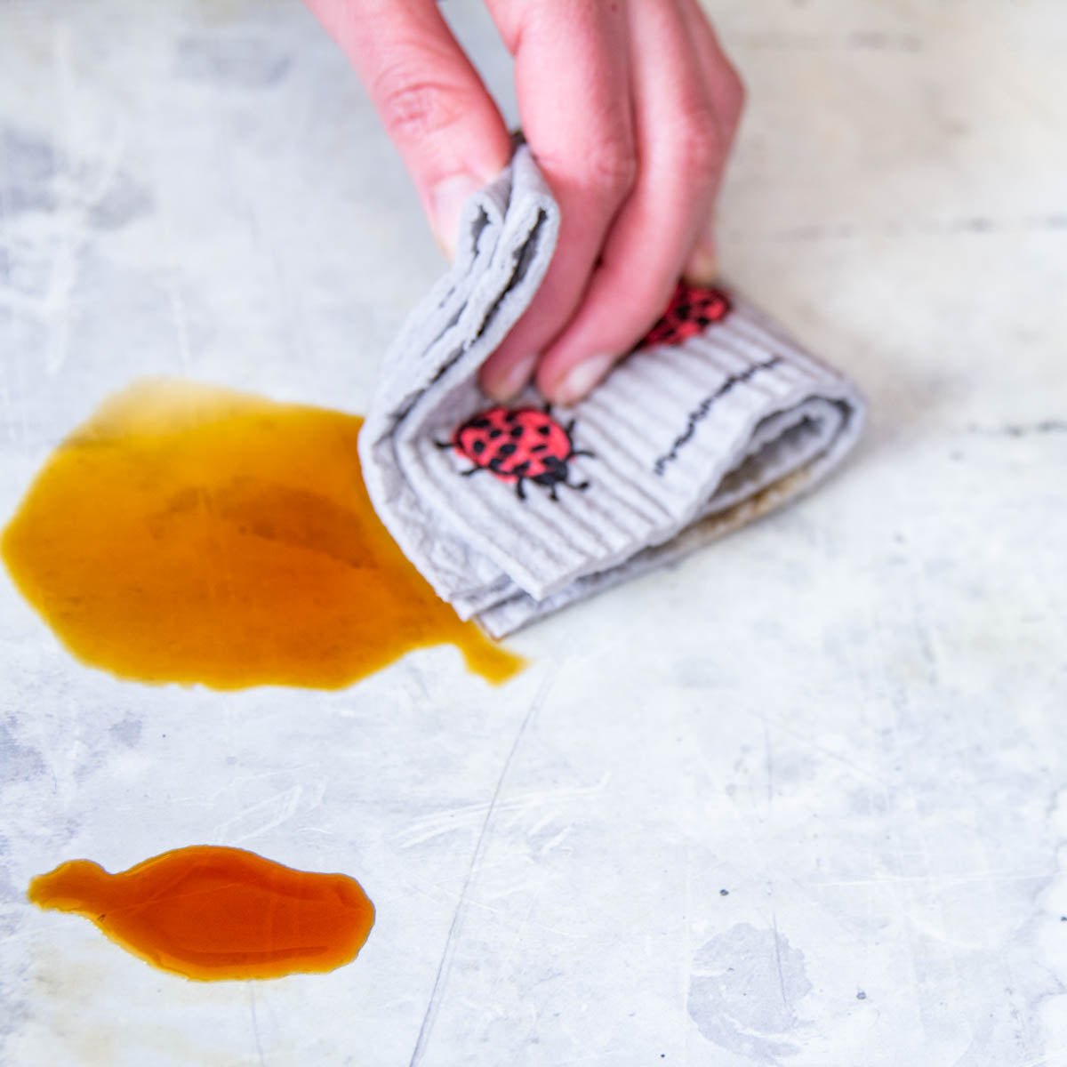 Bees and Bugs Swedish Dishcloth - Stella & Sol Sustainables