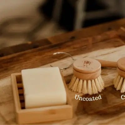 Dish Brush Replacement Head, Coated - Stella & Sol Sustainables