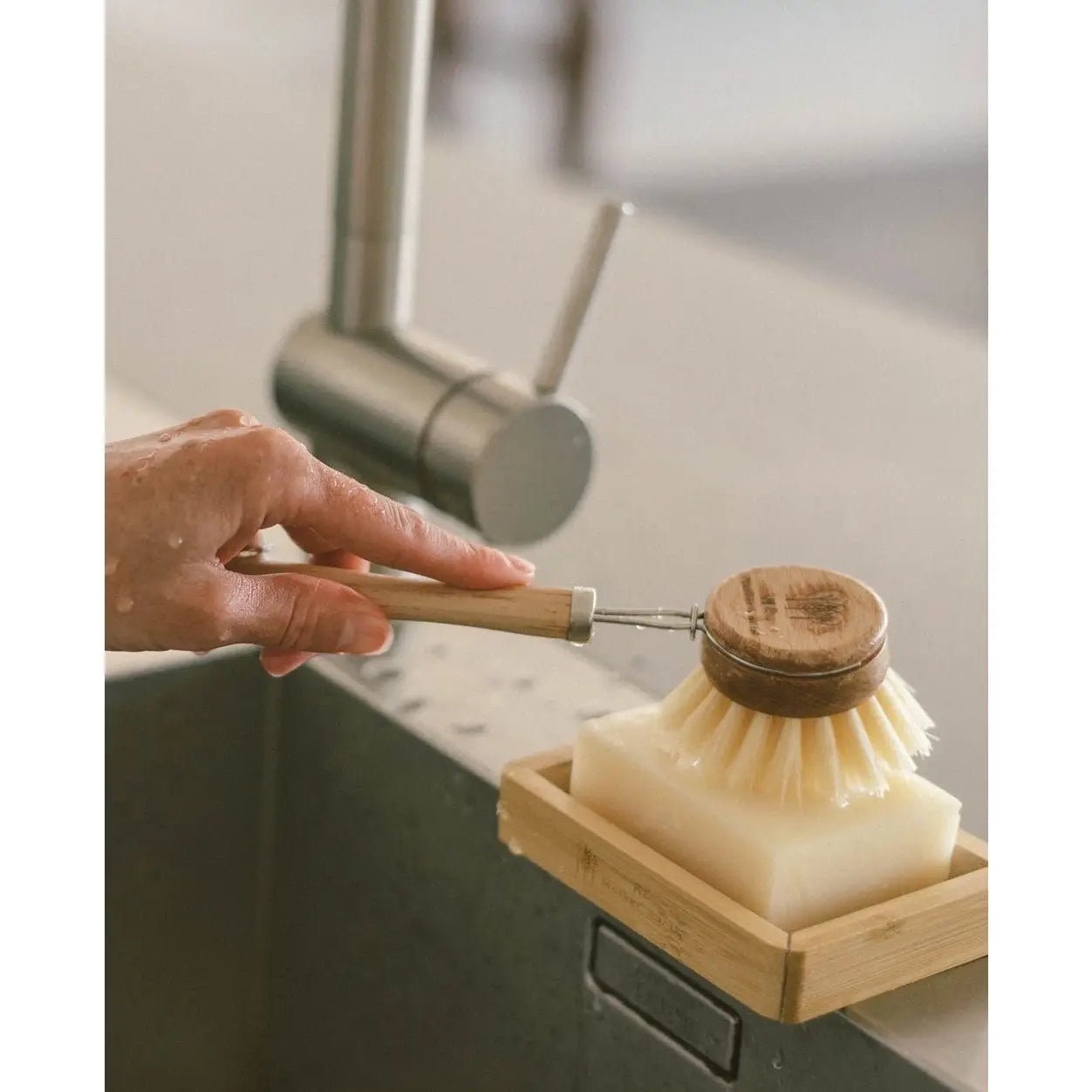 Kitchen Dish Brush, Coated Wood - Stella & Sol Sustainables