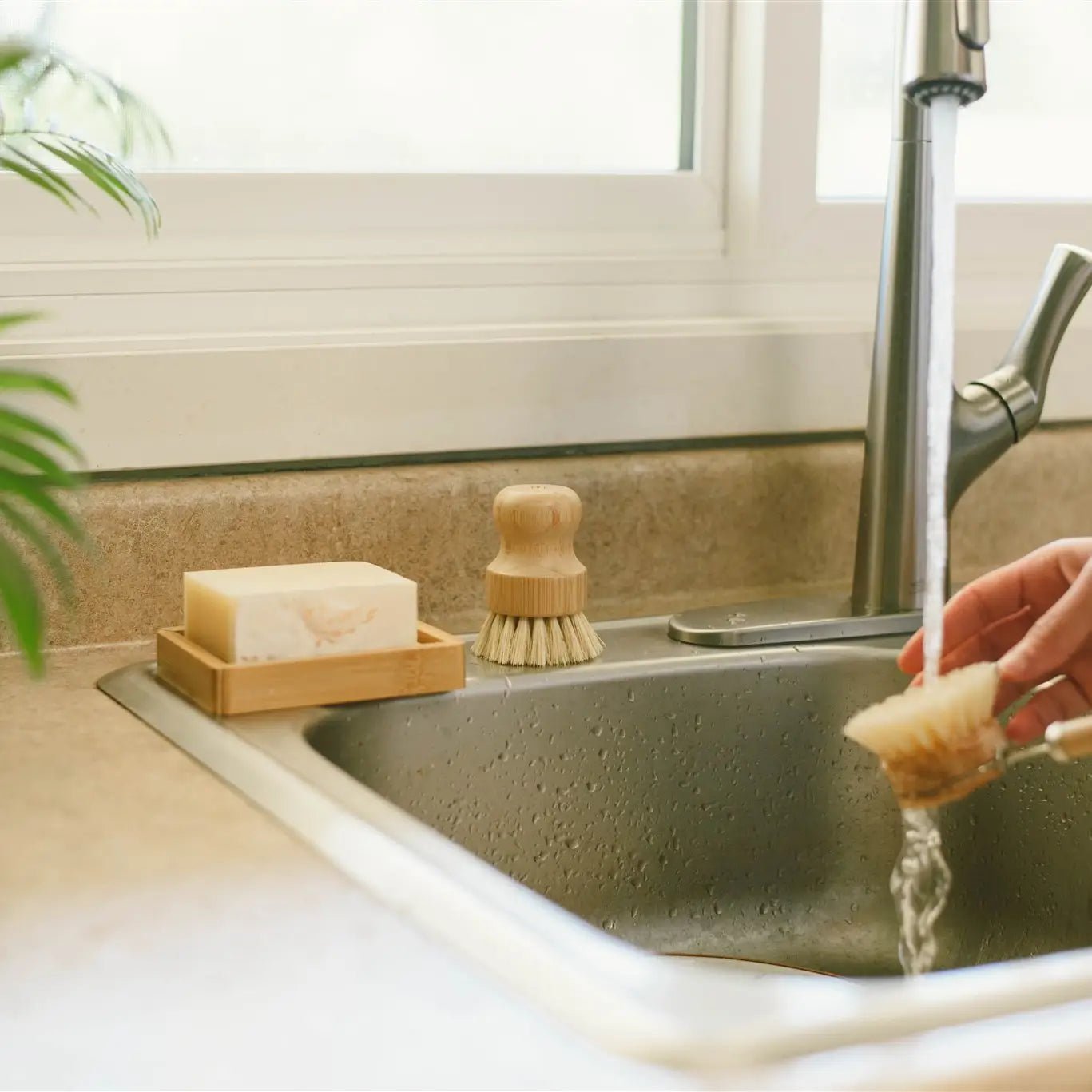 Kitchen Dish Brush, Uncoated Wood - Stella & Sol Sustainables